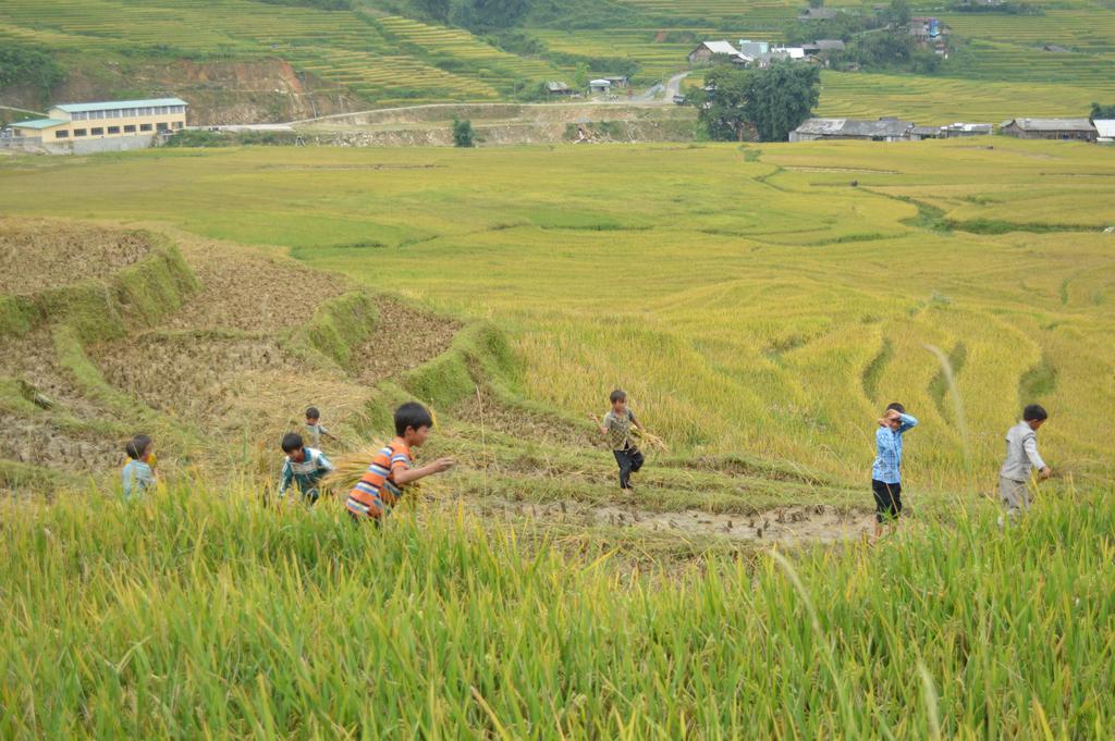 Cau May Homestay Sapa Exteriör bild