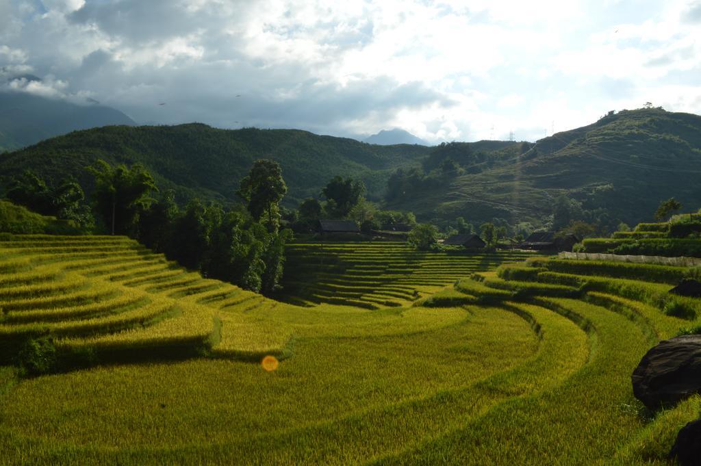 Cau May Homestay Sapa Exteriör bild