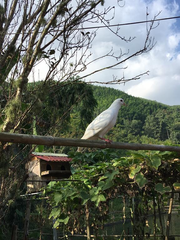 Cau May Homestay Sapa Exteriör bild